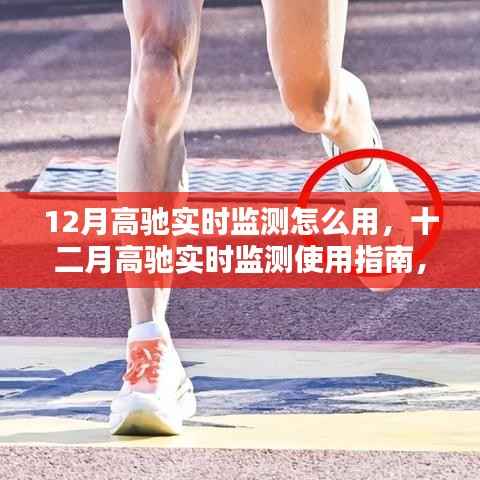 高驰实时监测使用指南，掌握十二月实时数据监测技巧