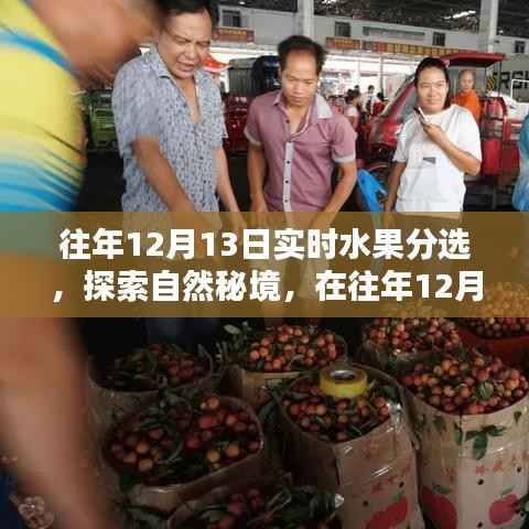 探索自然秘境，水果盛宴中的宁静与平和体验