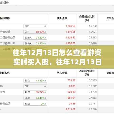 往年12月13日游资实时买入股查看指南，深度评测与介绍