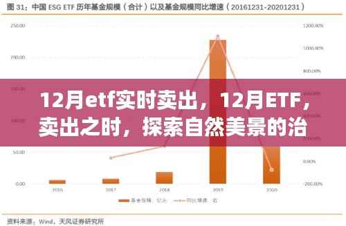 12月ETF实时卖出，探索自然美景的治愈之旅