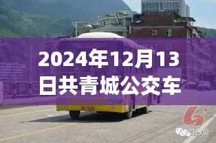 2024年共青城公交车实时查询指南，轻松出行，无忧旅途