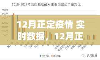 12月正定疫情实时数据深度分析与解读