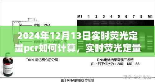实时荧光定量PCR技术操作指南与最新计算方法解析（适用于2024年）