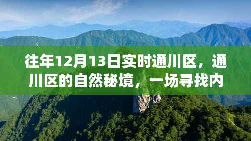 通川区自然秘境，寻找内心平静的奇妙之旅，12月13日实时探索之旅