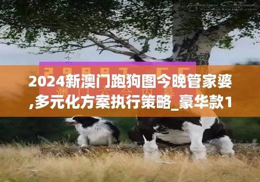 2024新澳门跑狗图今晚管家婆,多元化方案执行策略_豪华款1.998