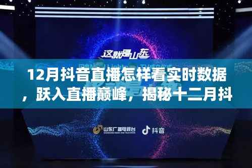 揭秘十二月抖音直播实时数据的魅力与成长之路，跃入巅峰的直播数据解析