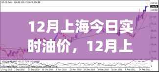 上海油价实时播报，最新油价走势及今日油价分析（十二月版）