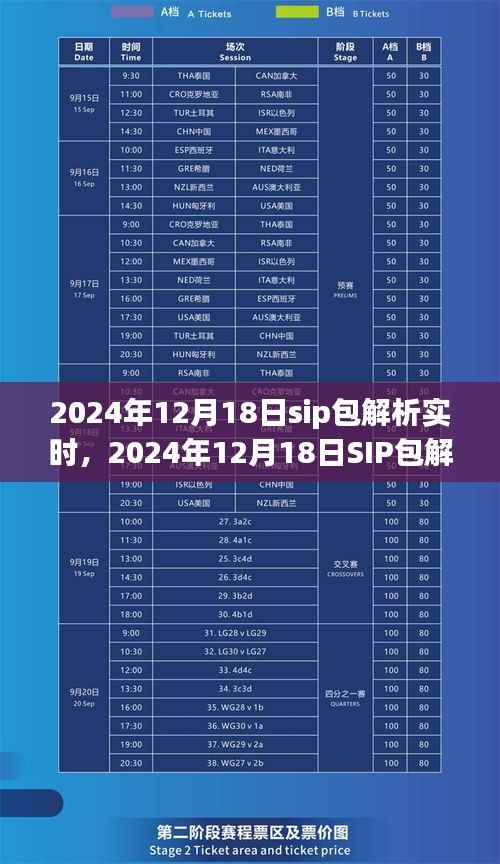 SIP包解析实时步骤指南,从初学者到进阶用户的全方位指南(2024年12月18日)
