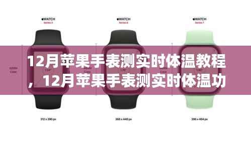 12月苹果手表实时体温测量功能详解与教程,观点阐述与全面解析