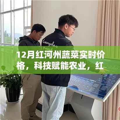 科技赋能下的红河州蔬菜实时价格智能监控，开启智慧农业新时代