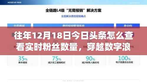 揭秘数字浪潮下的粉丝风云，如何在十二月十八日实时查看今日头条粉丝数量？