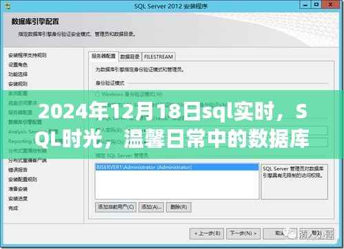 数据库奇缘，SQL时光下的温馨日常与实时数据探索（2024年12月18日）