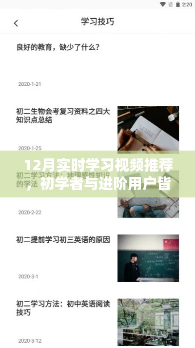 12月学习视频推荐，适合初学者与进阶用户的实时学习指南