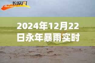 雨幕之下，永年暴雨纪实与实时动态