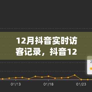 深度观察,抖音实时访客记录背后的故事与影响——以十二月为例