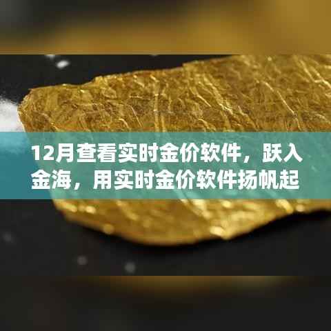 跃入金海，实时金价软件助你扬帆起航，金银财富与自信人生的学习之旅
