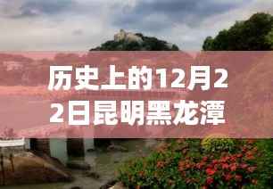 昆明黑龙潭公园的智慧与勇气，实时监控下的学习与梦想成就日