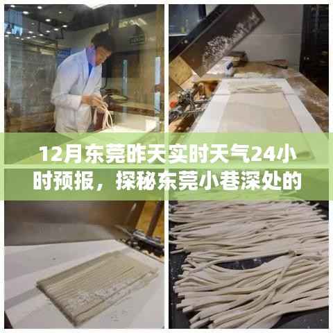 探秘东莞小巷深处的天气秘境，特色小店实时故事与天气预报