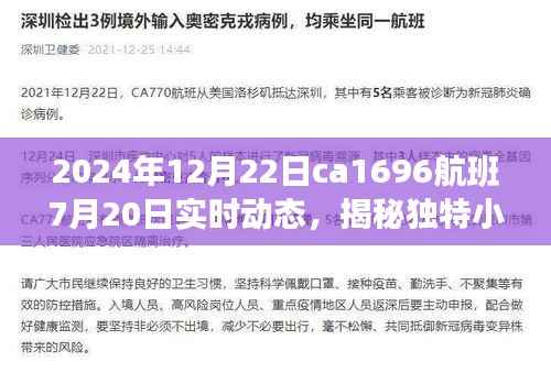 揭秘独特小巷宝藏与航班ca1696的奇妙邂逅，实时动态追踪报道