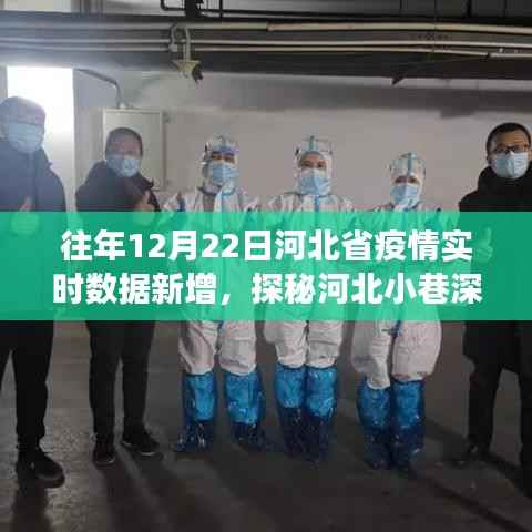 河北抗疫特色小店，疫情之下的暖心故事与实时数据新增探秘