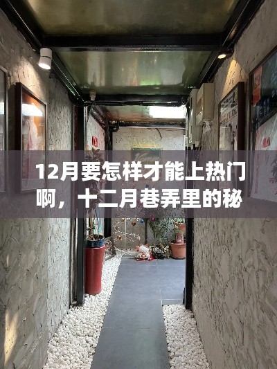 十二月巷弄探秘，特色小店点燃热门探索之旅