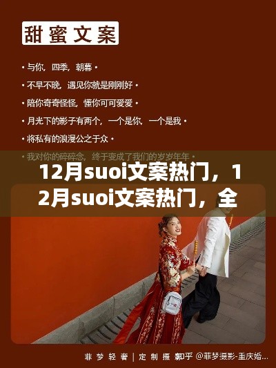 全面评测与介绍，12月热门suoi文案精选