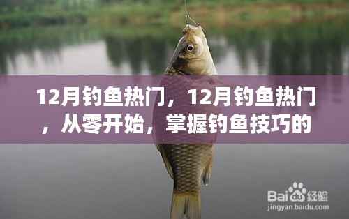 从零开始掌握钓鱼技巧,12月钓鱼热门全攻略