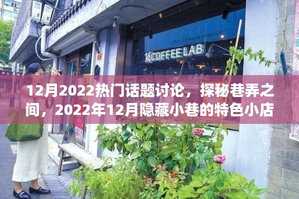 巷弄探秘，揭秘十二月隐藏小巷的特色小店故事