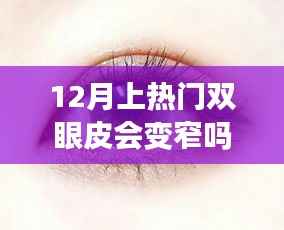 双眼皮时尚与心灵之旅，十二月双眼皮下的宁静与美景不变窄的魅力
