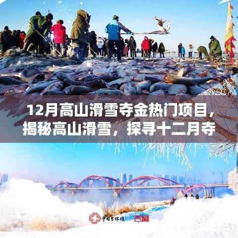 揭秘高山滑雪，十二月夺金热门项目的魅力与要点解析