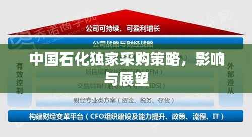 中国石化独家采购策略，影响与展望