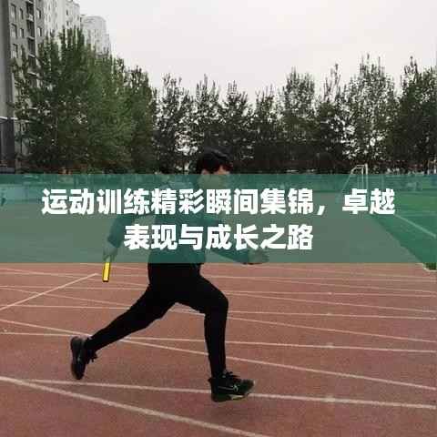 运动训练精彩瞬间集锦，卓越表现与成长之路