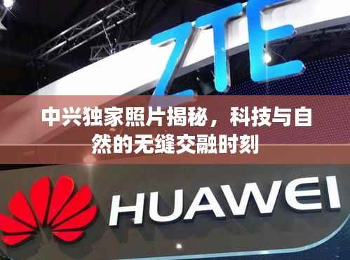 中兴独家照片揭秘，科技与自然的无缝交融时刻