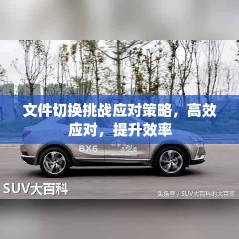 文件切换挑战应对策略，高效应对，提升效率