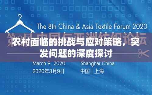 首鼠两端 第3页