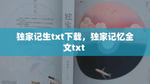 独家记生txt下载,独家记忆全文txt