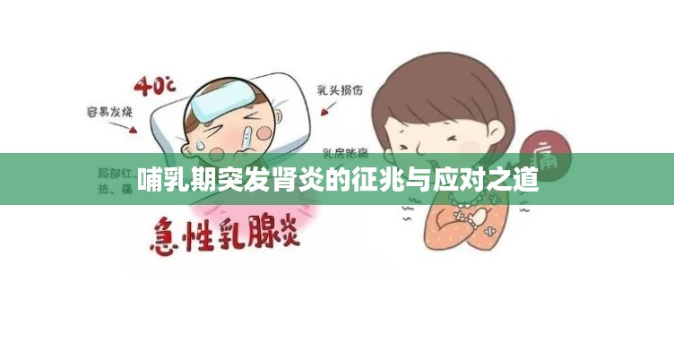 哺乳期突发肾炎的征兆与应对之道