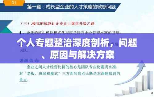 个人专题整治深度剖析,问题、原因与解决方案