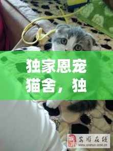 独家恩宠猫舍，独家宠爱是什么意思 