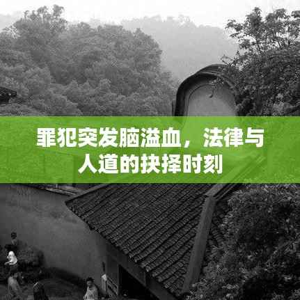 罪犯突发脑溢血，法律与人道的抉择时刻