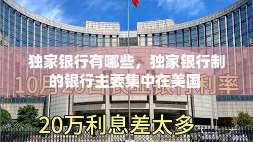 独家银行有哪些，独家银行制的银行主要集中在美国 