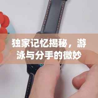 独家记忆揭秘，游泳与分手的微妙交织