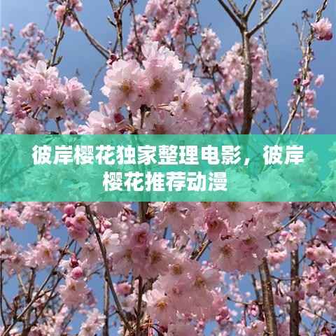 彼岸樱花独家整理电影，彼岸樱花推荐动漫 