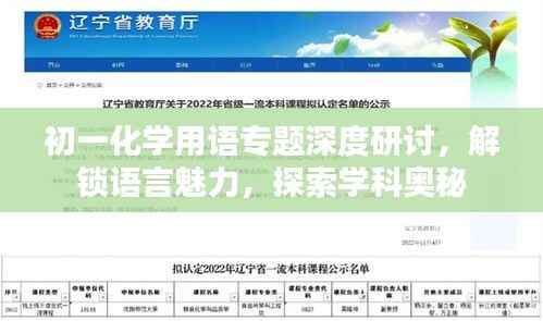 初一化学用语专题深度研讨，解锁语言魅力，探索学科奥秘