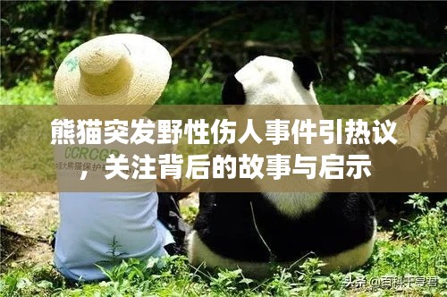 熊猫突发野性伤人事件引热议,关注背后的故事与启示