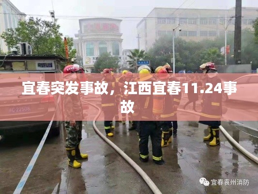宜春突发事故，江西宜春11.24事故 