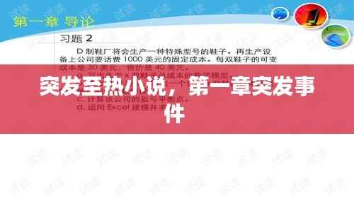 突发至热小说，第一章突发事件 