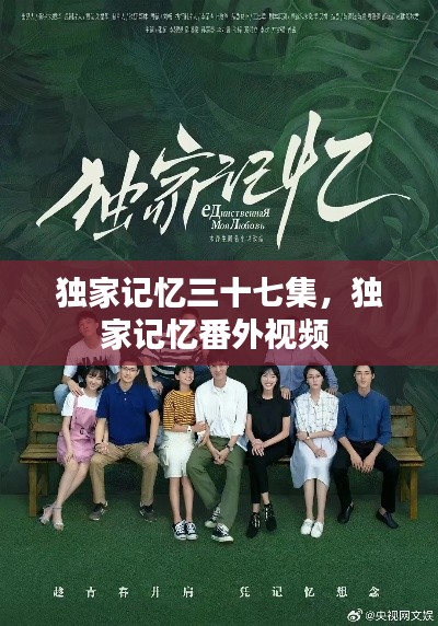 独家记忆三十七集，独家记忆番外视频 