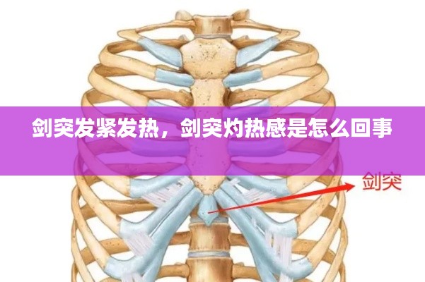 剑突发紧发热，剑突灼热感是怎么回事 