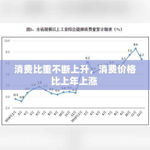 消费比重不断上升，消费价格比上年上涨 